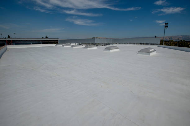 Best Roof Leak Repair  in Steilacoom, WA